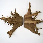 Villa Sparrow Nest *