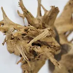 Villa Sparrow Nest