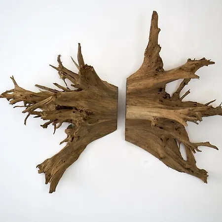 빌라 Sparrow Nest *