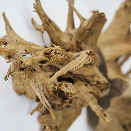 빌라 Sparrow Nest