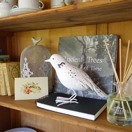 Sparrow Nest Villa