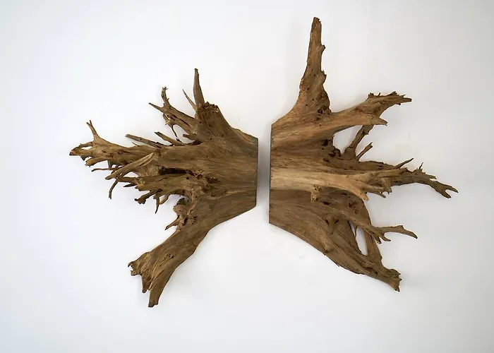 Villa Sparrow Nest *